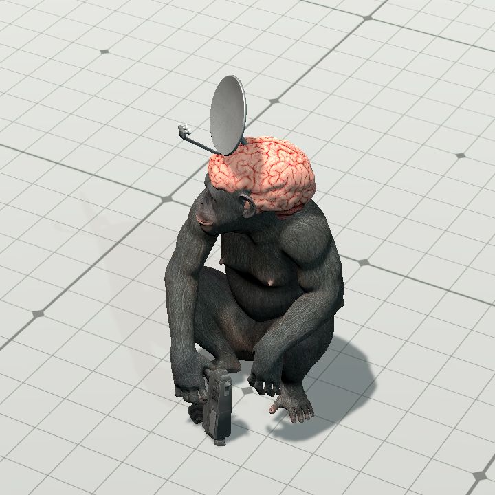 Z Tech Apolitical Procedure Enforcer