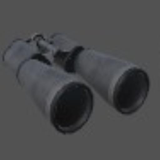 Binocular