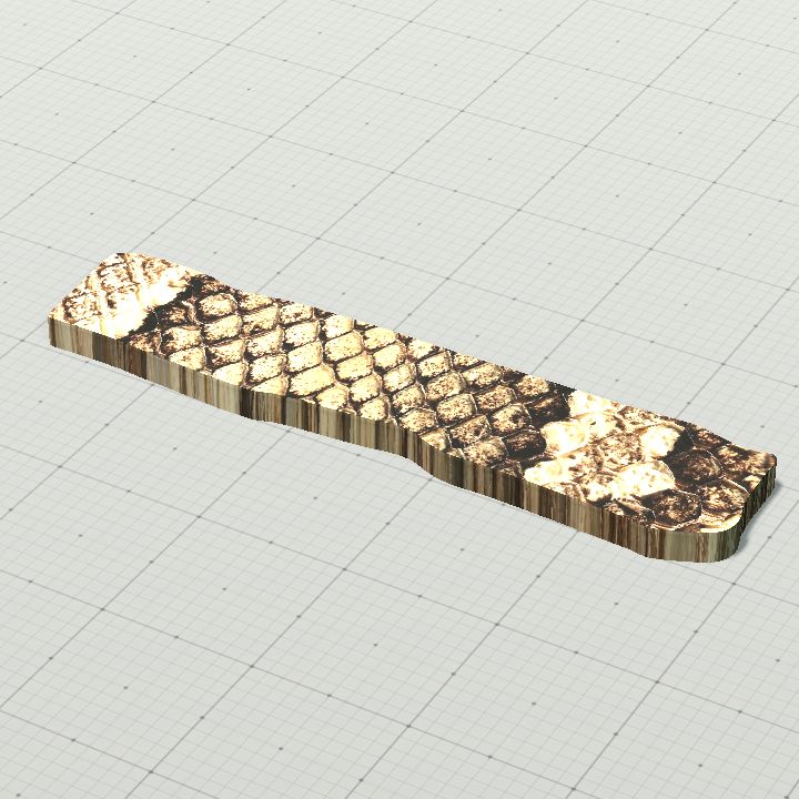 rough plank snake scales