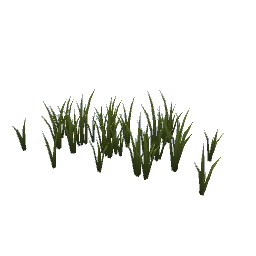 grass