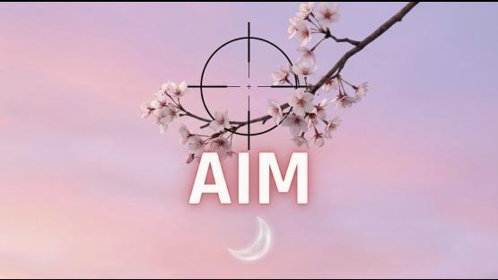 Aim_Lunatic – Counter-Strike 2 Mod