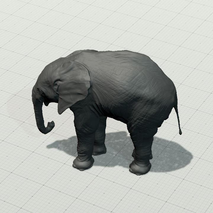 Gray Elephant