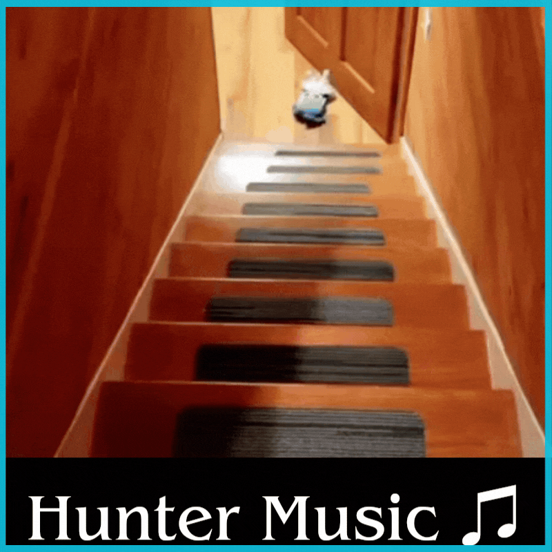 Cirno's Remix Theme [Hunter Music] preview