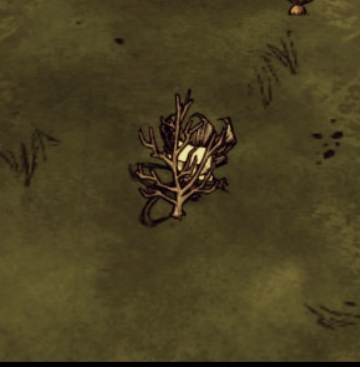 Quick Pick(by 辣椒小皇纸)（自用） – Don't Starve Together Mod