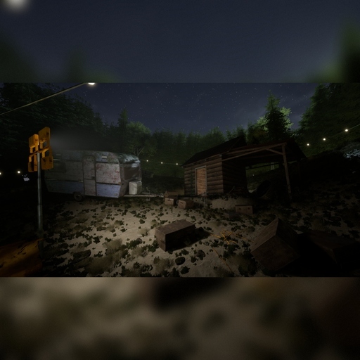 Hiding Wood
