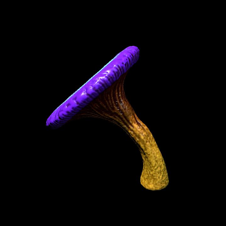 Mushroom_Middle_6_4