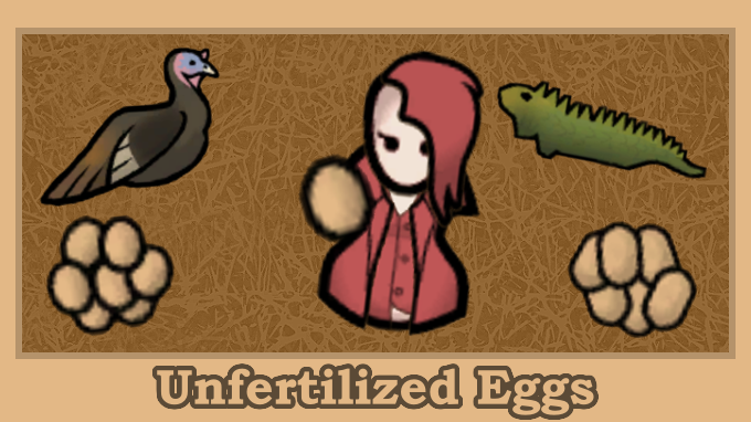 Unfertilized Eggs