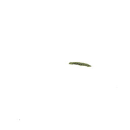 Field Airport Cover : Revised