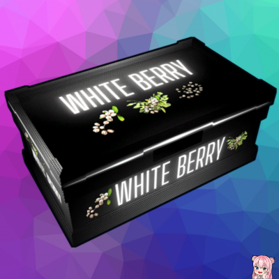 Neon Carbon | White Berry | Glow