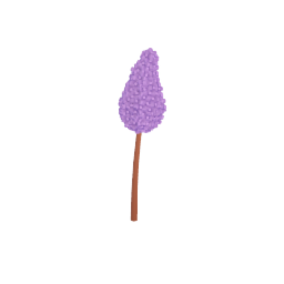 Lilacs