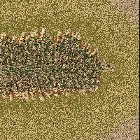 Olive Grove  (2-8)  -mostly fair-