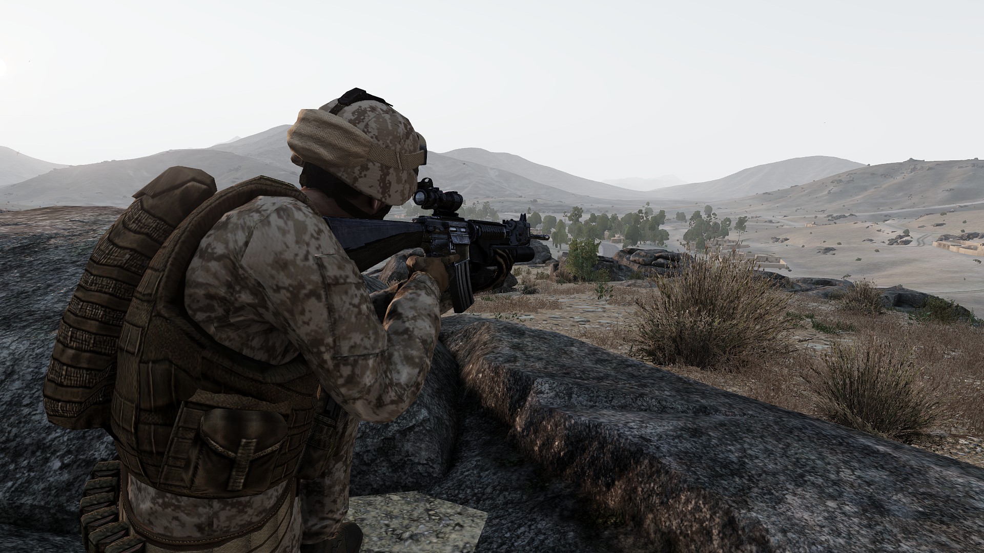 HVT Assassination