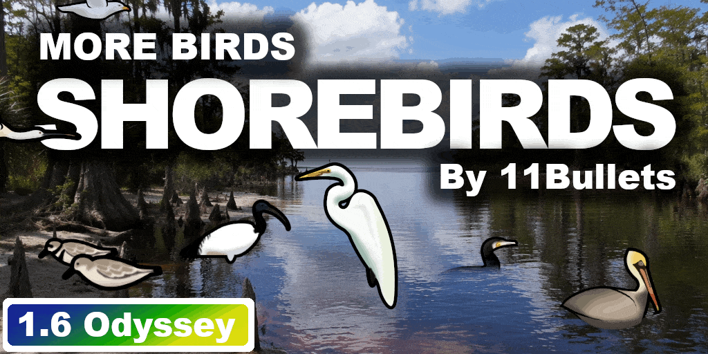 More Birds - Shorebirds