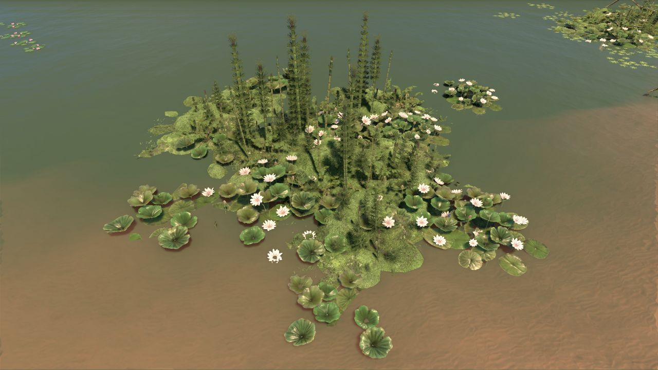 Wetland floater