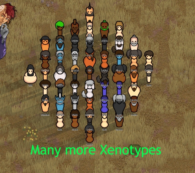Many More Xenotypes