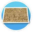 Egyptian Brick (Floor)