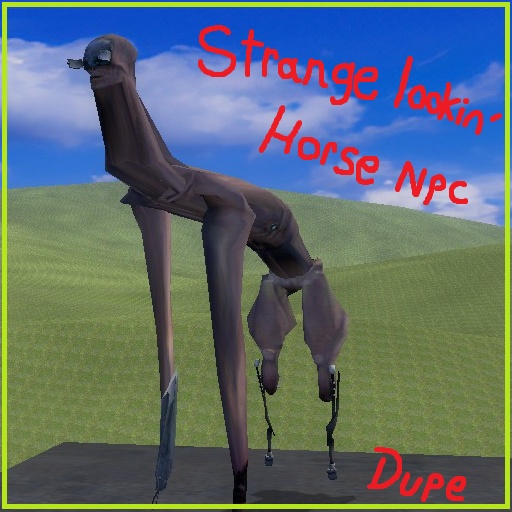Strange Looking Horse Npc