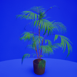 Decorate Palm