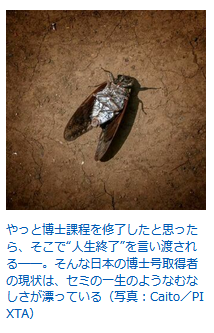 ベルリンの雨