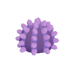 Sea Urchin
