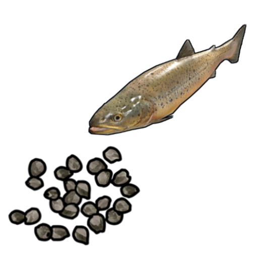 Small Trout Seed