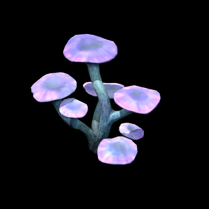 Mushroom_23