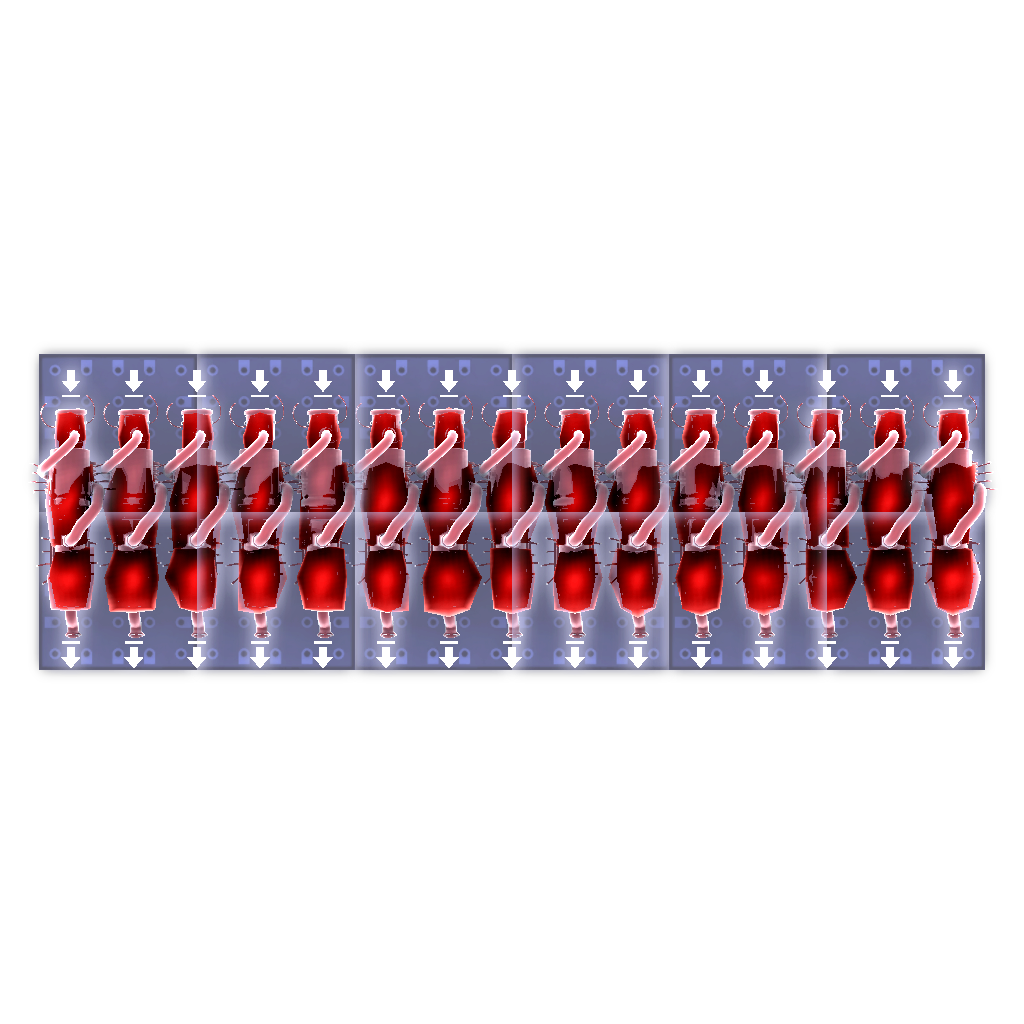 一排蚁后 A row of queens