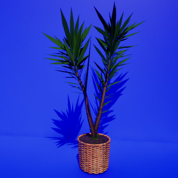 Little Tree in a Flowerpot