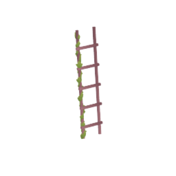 Ladder with vines