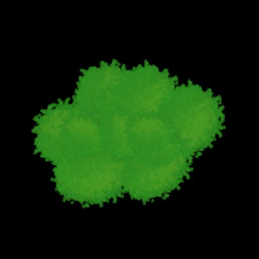 Fluffy Tree