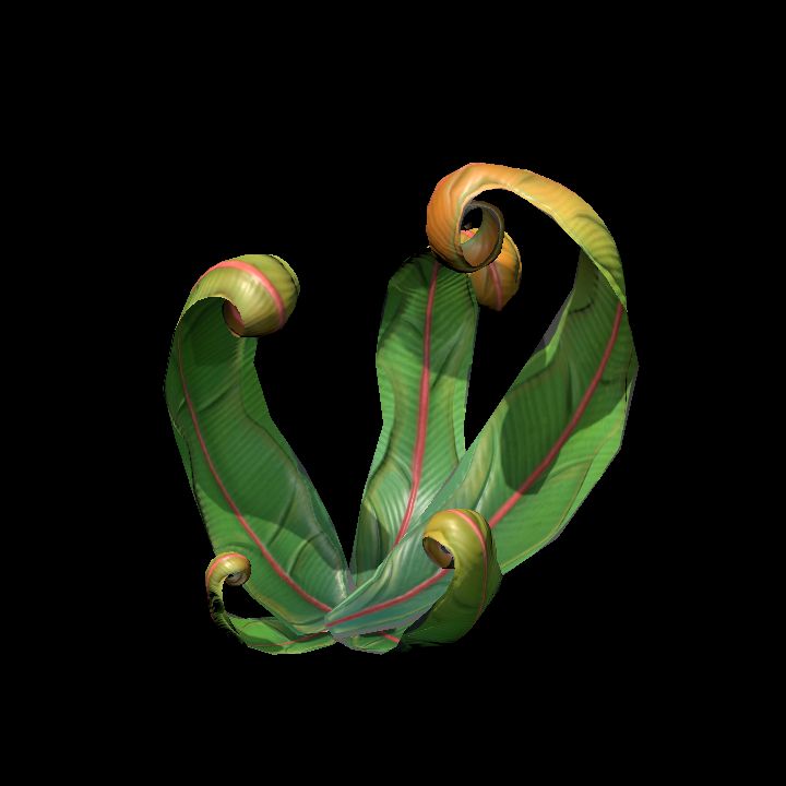 Fey_Plant (3)