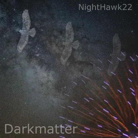 NightHawk22 - Animation Warrior Theme