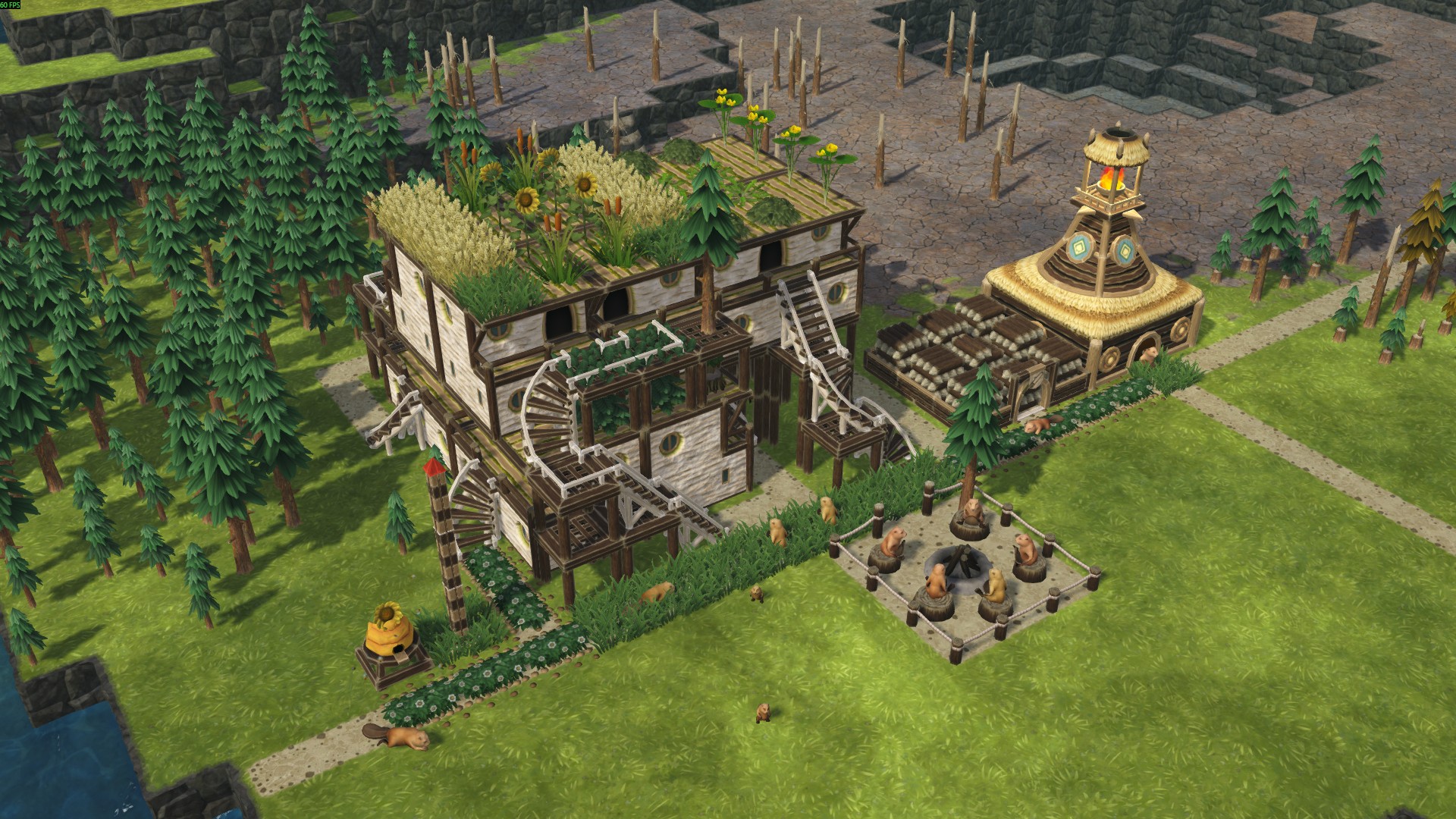 Decorative Plants