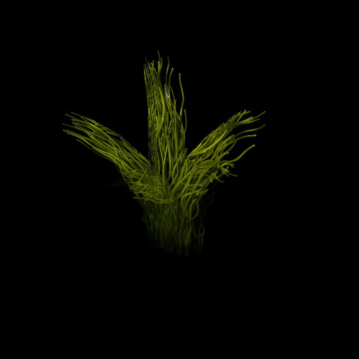 SwampTussocksSmallE_3