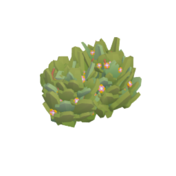 Wide Flowering Bush