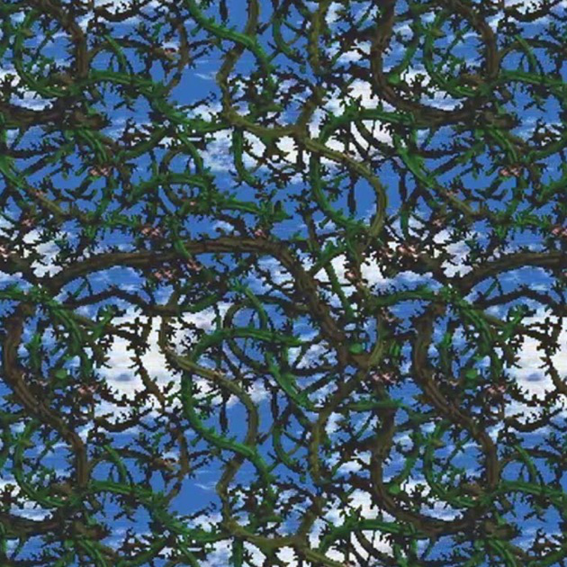 Stickerbrush Symphony