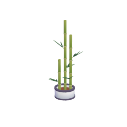 Potted tall bamboo 