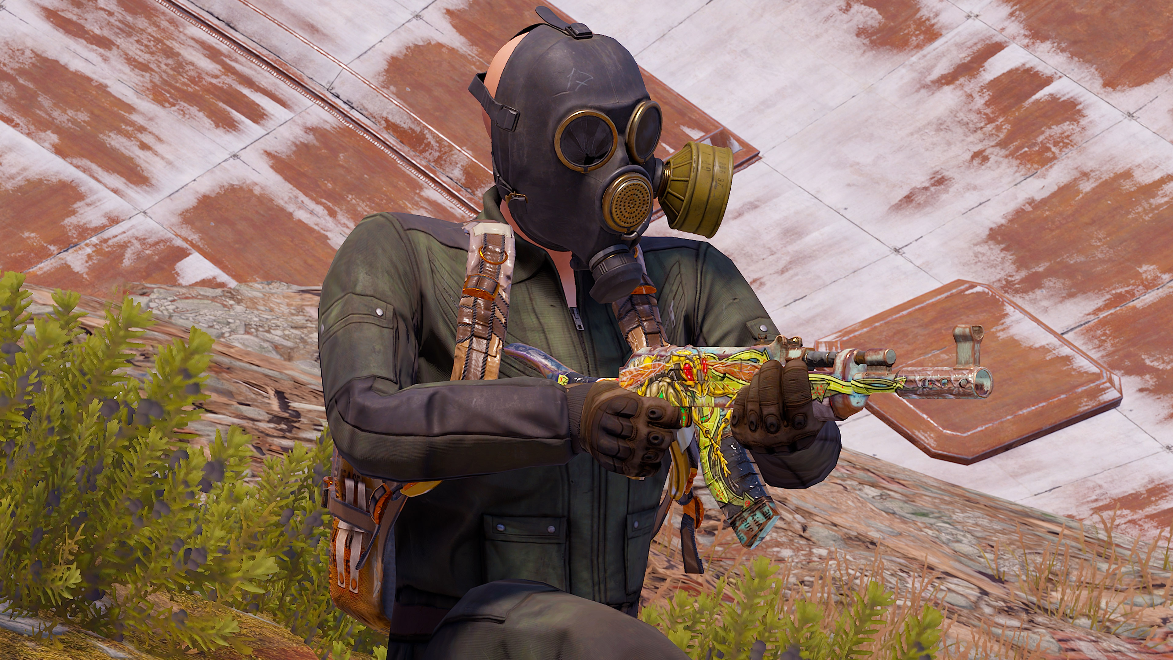 Wasp AR thumbnail 6