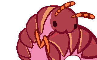 Millipede baby