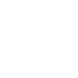 THE SMILER (backrooms monster but just the face verson)