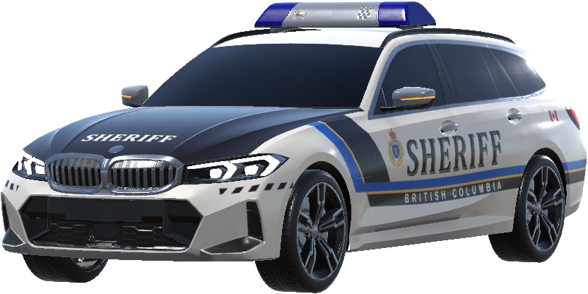 Stern BCSS (Fictional)