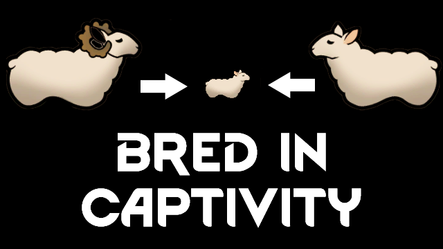 Bred in Captivity