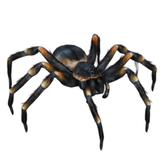 Pet Spider Additions: Enhanced