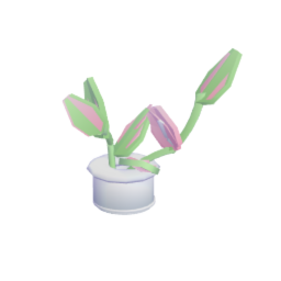 Philodendron Erubescens (Pink Princess)