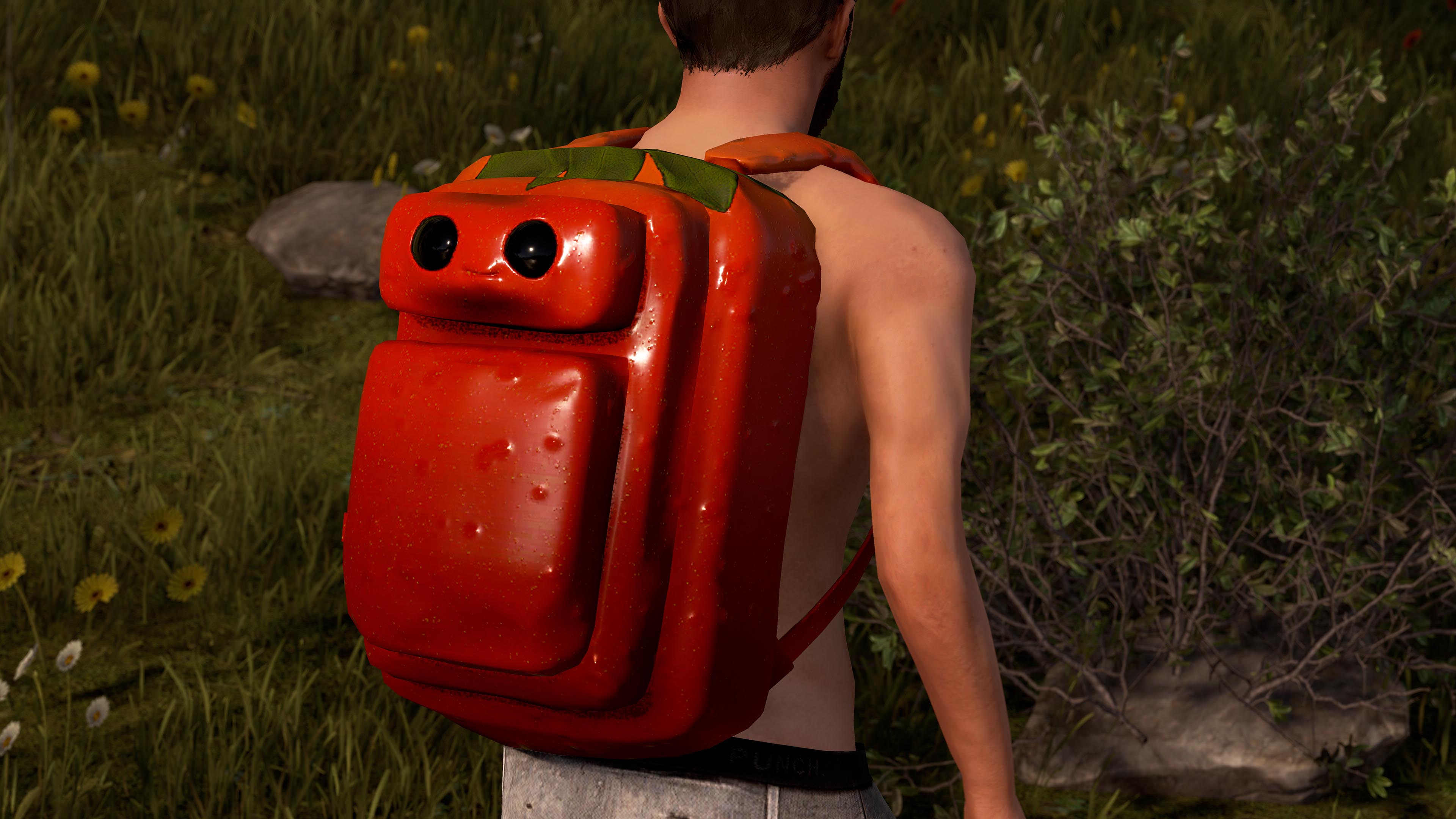 Señor Tomato Large Backpack thumbnail 8