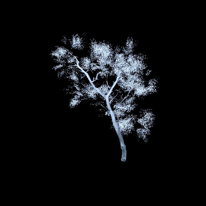 Ice - Tree 1