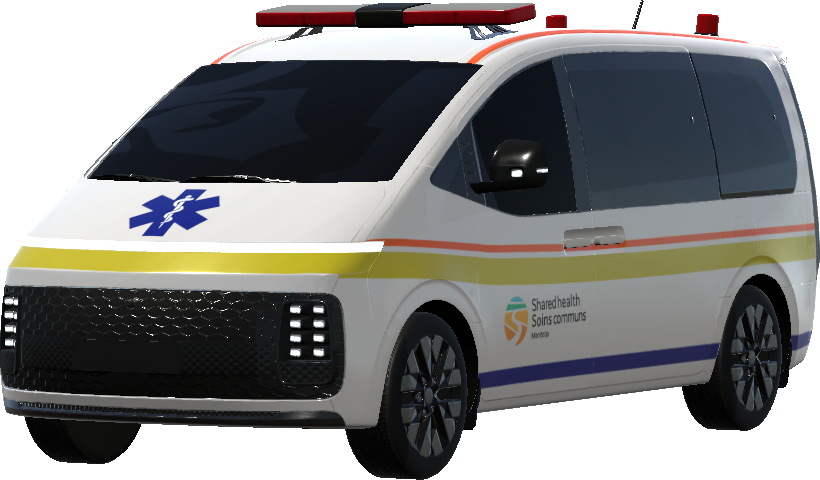 Phoenix Shared Health (Fictional)