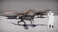 Austroraptor prop species and skeletonfossil