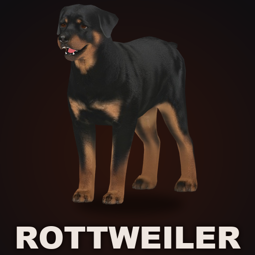 CD Rottweiler