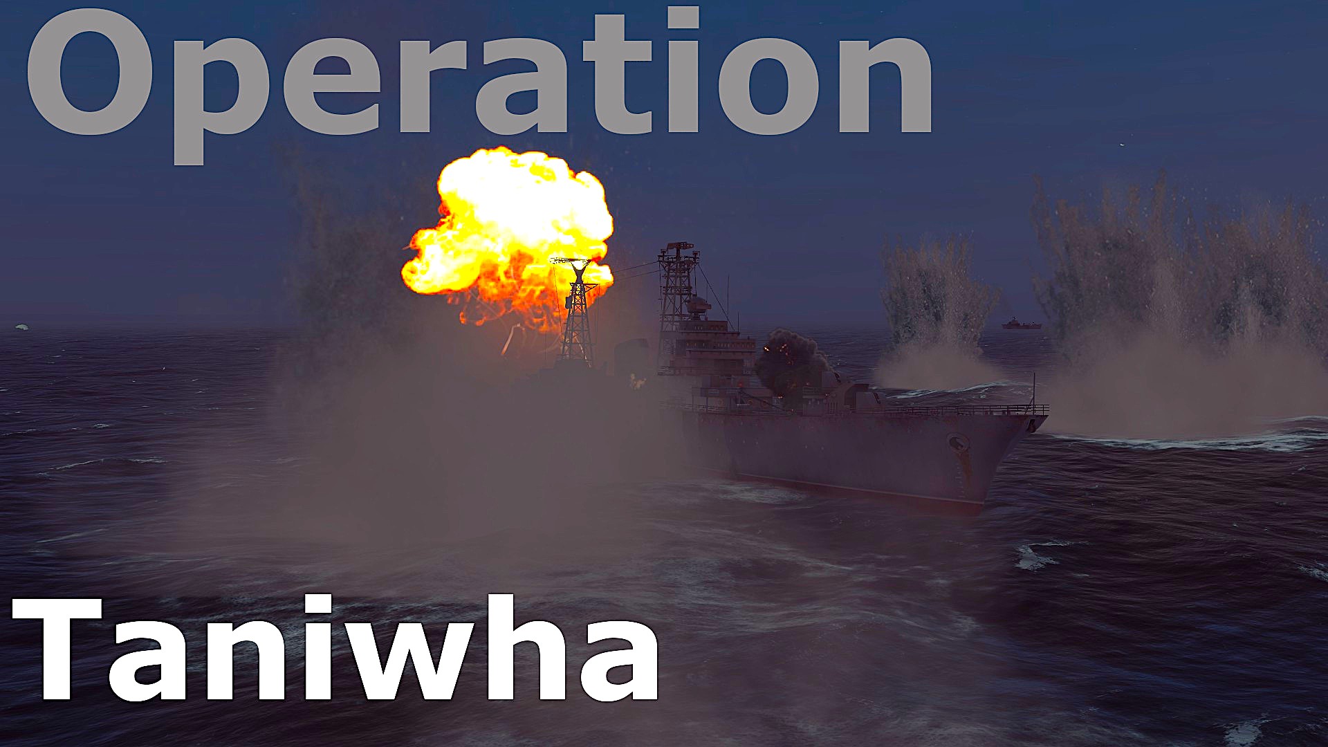 Operation Taniwha